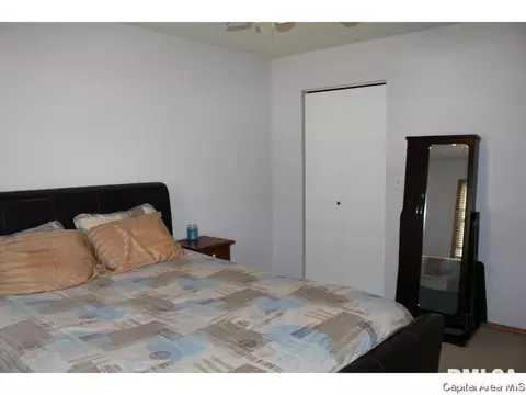 309 E Sangamon Ave, Springfield, IL 62702 photo 16