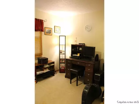 309 E Sangamon Ave, Springfield, IL 62702 photo 9