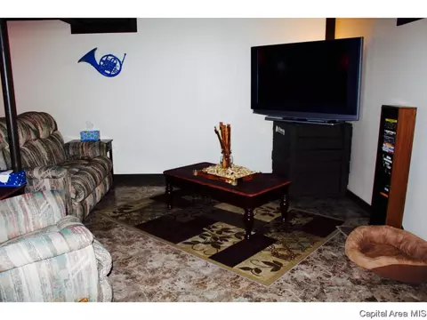 309 E Sangamon Ave, Springfield, IL 62702 photo 20