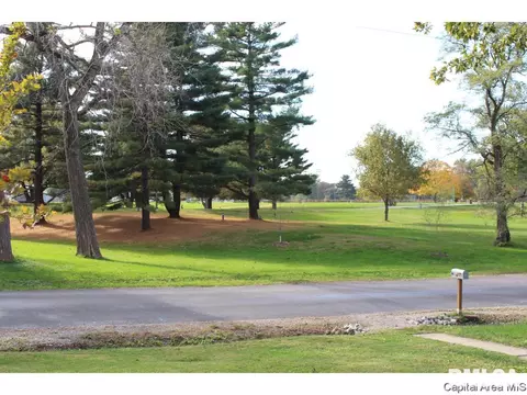 309 E Sangamon Ave, Springfield, IL 62702 photo 2