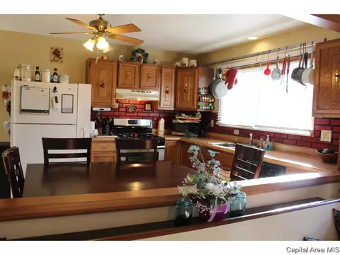 309 E Sangamon Ave, Springfield, IL 62702 photo 7
