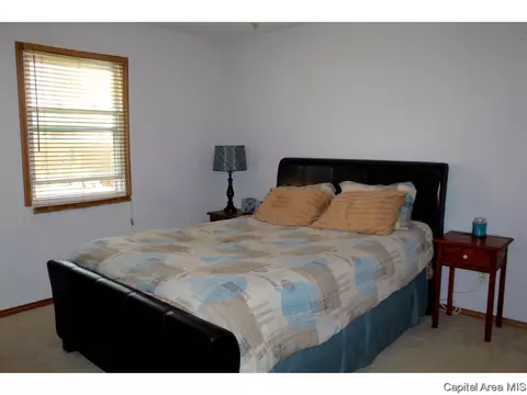 309 E Sangamon Ave, Springfield, IL 62702 photo 15