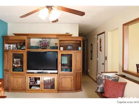 309 E Sangamon Ave, Springfield, IL 62702 photo 8