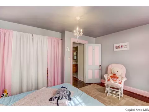 1308 W Edwards St, Springfield, IL 62704 photo 18
