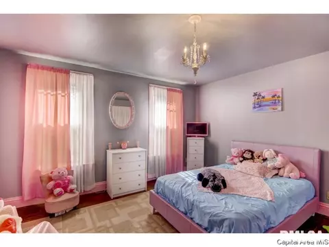 1308 W Edwards St, Springfield, IL 62704 photo 17