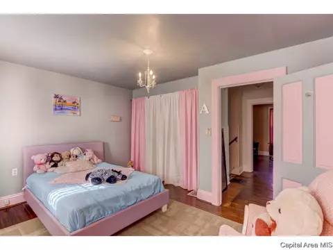 1308 W Edwards St, Springfield, IL 62704 photo 16