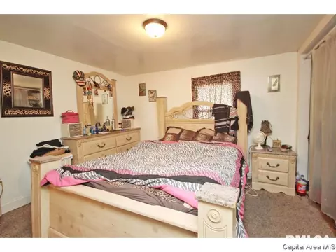 2910 S 13th Street St, Springfield, IL 62703 photo 21