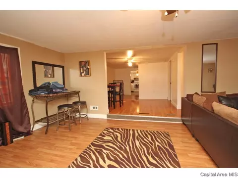 2910 S 13th Street St, Springfield, IL 62703 photo 8