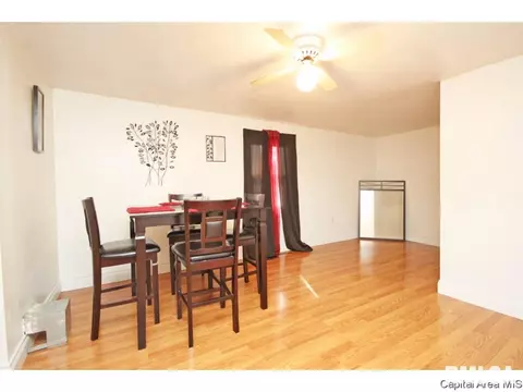 2910 S 13th Street St, Springfield, IL 62703 photo 12