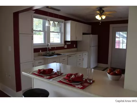 1820 Holmes, Springfield, IL 62704 photo 14