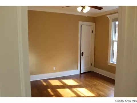1820 Holmes, Springfield, IL 62704 photo 18