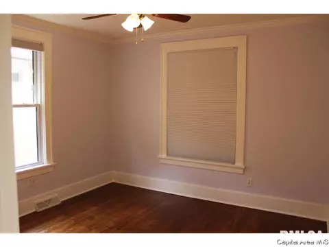 1820 Holmes, Springfield, IL 62704 photo 20