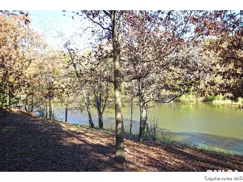 43 Frontier Lake Dr, Springfield, IL 62707 photo 30