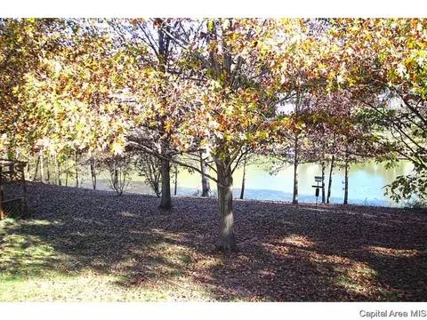 43 Frontier Lake Dr, Springfield, IL 62707 photo 33