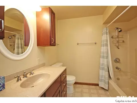 43 Frontier Lake Dr, Springfield, IL 62707 photo 11