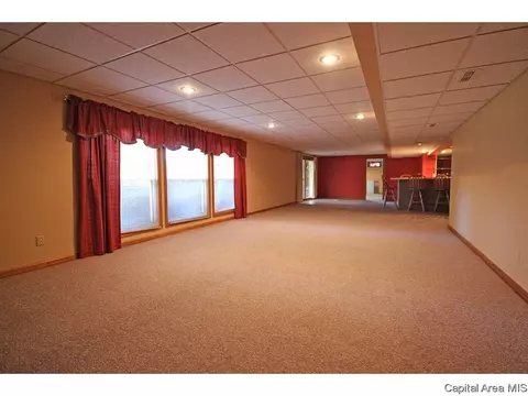 43 Frontier Lake Dr, Springfield, IL 62707 photo 25