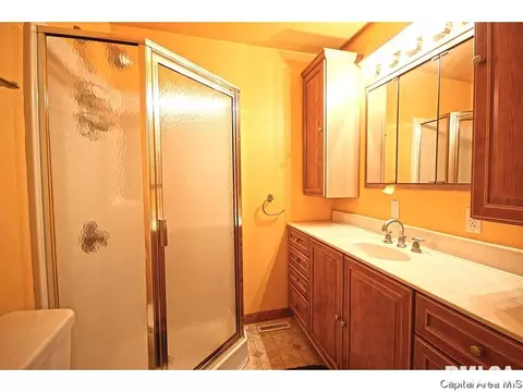43 Frontier Lake Dr, Springfield, IL 62707 photo 10