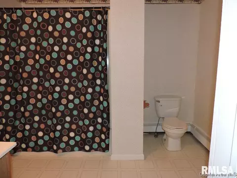 123 E Adams St, Greenview, IL 62642 photo 16