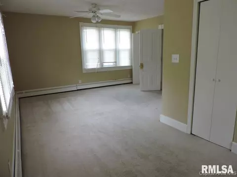 123 E Adams St, Greenview, IL 62642 photo 19