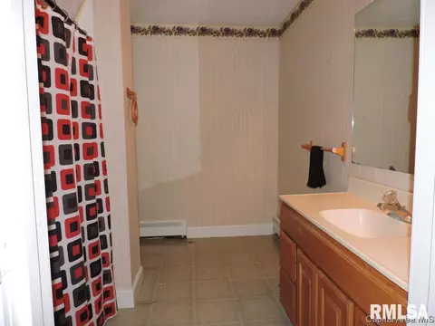 123 E Adams St, Greenview, IL 62642 photo 12