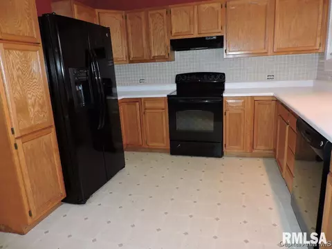 123 E Adams St, Greenview, IL 62642 photo 9