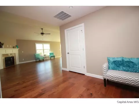 905 Pheasant Run, Sherman, IL 62684 photo 17