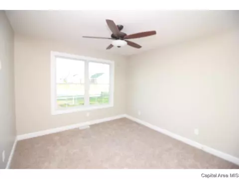 905 Pheasant Run, Sherman, IL 62684 photo 10