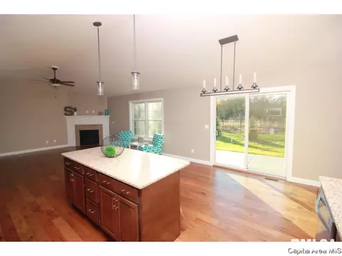 905 Pheasant Run, Sherman, IL 62684 photo 21