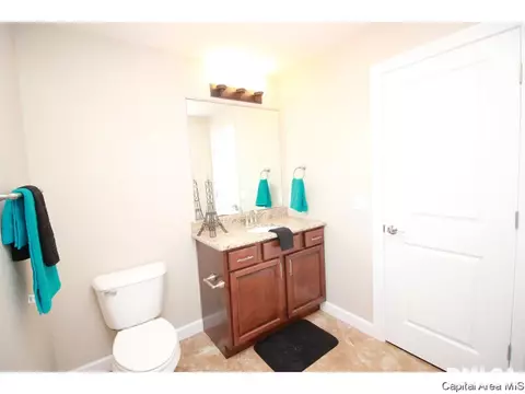 905 Pheasant Run, Sherman, IL 62684 photo 11