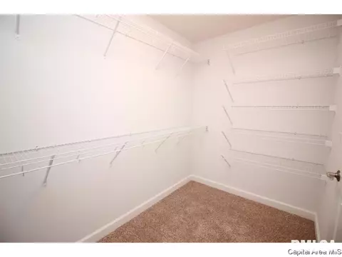 905 Pheasant Run, Sherman, IL 62684 photo 14