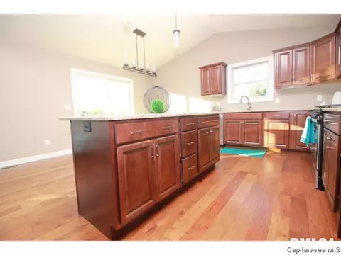 905 Pheasant Run, Sherman, IL 62684 photo 18