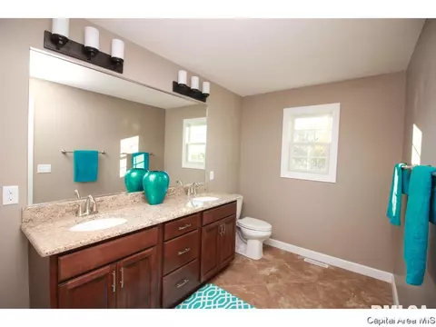 905 Pheasant Run, Sherman, IL 62684 photo 15