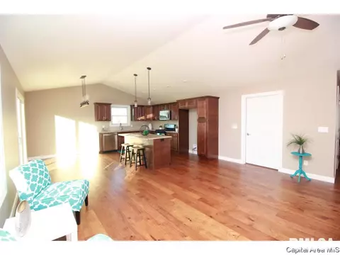 905 Pheasant Run, Sherman, IL 62684 photo 5