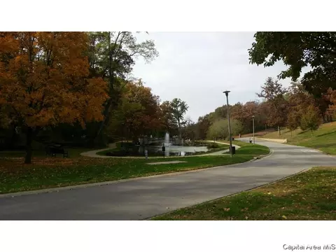 523 Wood Ave, Springfield, IL 62702 photo 27