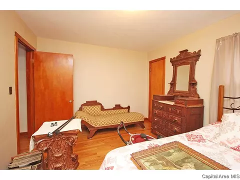 523 Wood Ave, Springfield, IL 62702 photo 18