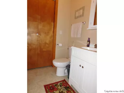 403 E Wineman, Auburn, IL 62615 photo 18