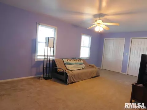 403 E Wineman, Auburn, IL 62615 photo 13
