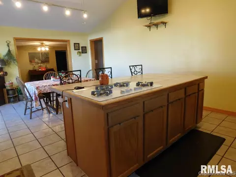 403 E Wineman, Auburn, IL 62615 photo 7