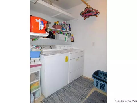 403 E Wineman, Auburn, IL 62615 photo 17
