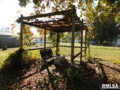 403 E Wineman, Auburn, IL 62615 photo 26