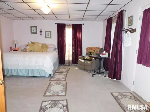 403 E Wineman, Auburn, IL 62615 photo 11
