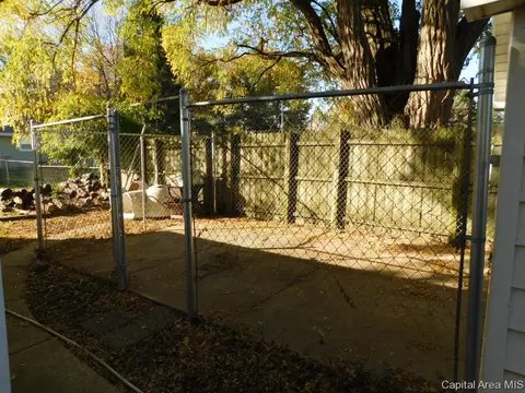 403 E Wineman, Auburn, IL 62615 photo 30