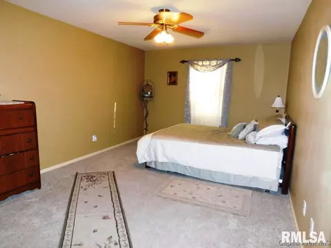 403 E Wineman, Auburn, IL 62615 photo 12