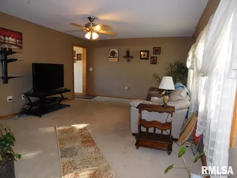 403 E Wineman, Auburn, IL 62615 photo 10