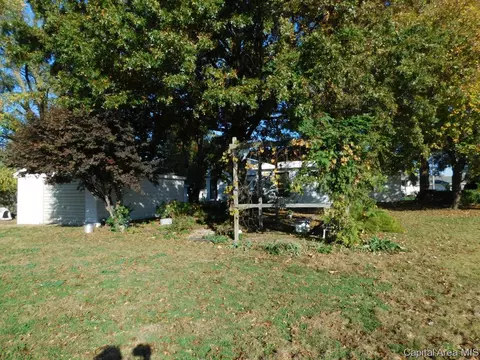 403 E Wineman, Auburn, IL 62615 photo 24