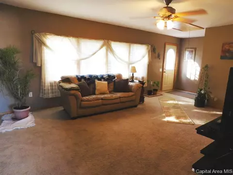 403 E Wineman, Auburn, IL 62615 photo 9