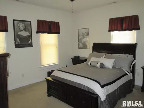 1141 N 5th St, Springfield, IL 62702 photo 16