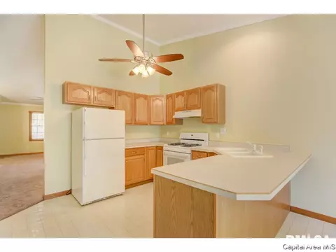 6905 Montrose Ct, Springfield, IL 62707 photo 31