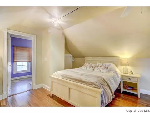 1616 W Cook St, Springfield, IL 62704 photo 29