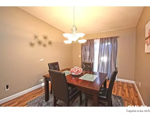 448 Chris Dr, Springfield, IL 62711 photo 14
